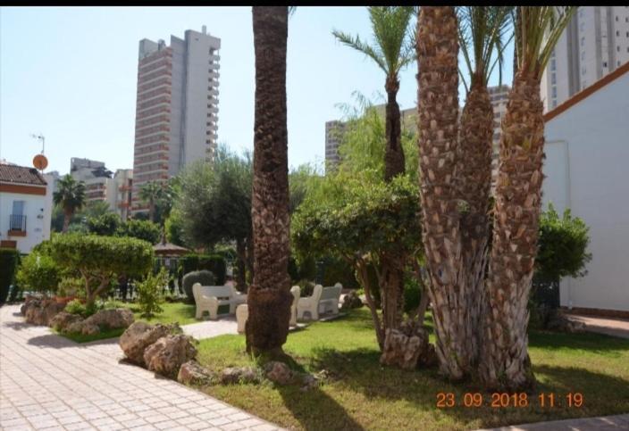 Appartement Sunshine Apartament à Benidorm Extérieur photo